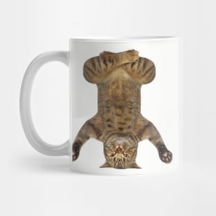 cat yoga Mug